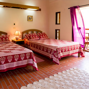 CUFFIE RIVER NATURE RETREAT