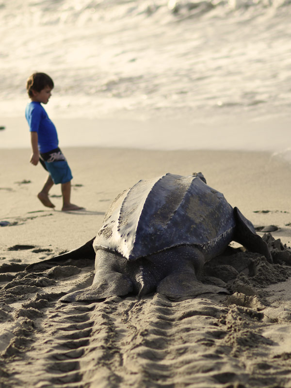 Natur Trinidad und Tobago